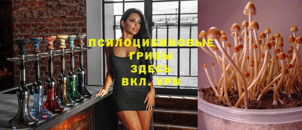 трава Алексин
