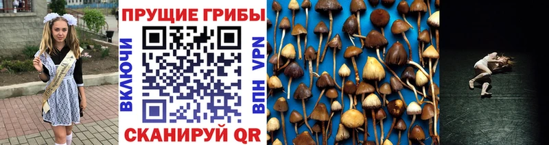 Псилоцибиновые грибы мухоморы магазин наркотиков Керчь